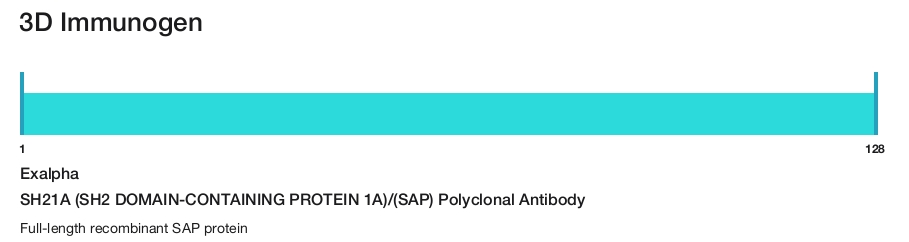 SH21A (SH2 DOMAIN-CONTAINING PROTEIN 1A)/(SAP) Polyclonal Antibody
