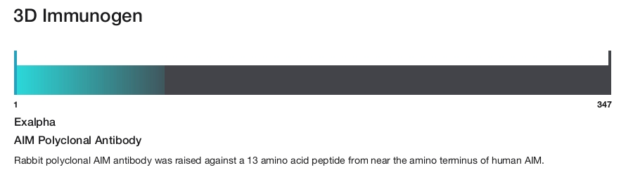 AIM Polyclonal Antibody