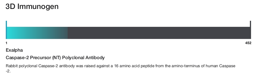 Caspase-2 Precursor (NT) Polyclonal Antibody