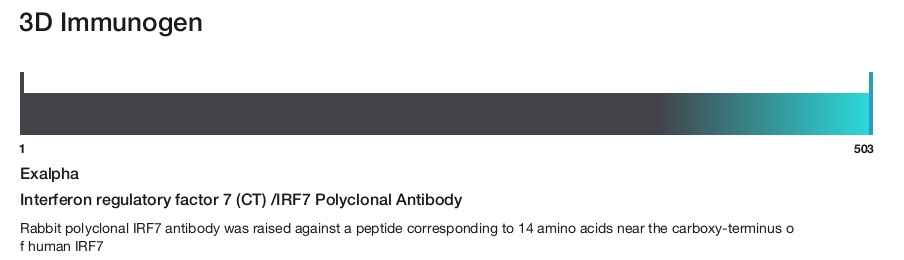 Interferon regulatory factor 7 (CT) /IRF7 Polyclonal Antibody