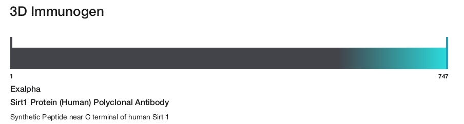 Sirt1 Protein (Human) Polyclonal Antibody