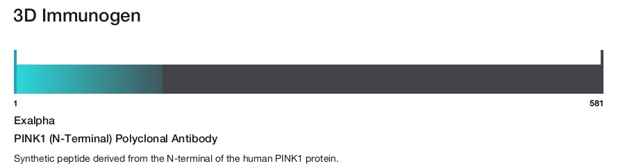 PINK1 (N-Terminal) Polyclonal Antibody
