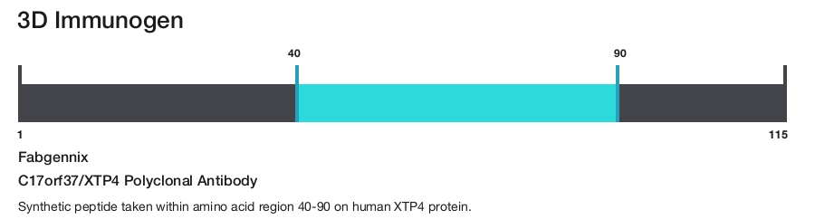 C17orf37/XTP4 Polyclonal Antibody