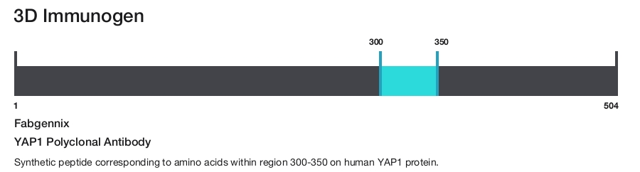 YAP1 Polyclonal Antibody