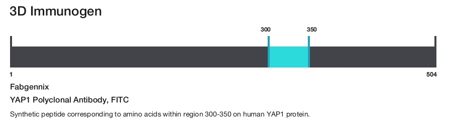 YAP1 Polyclonal Antibody, FITC