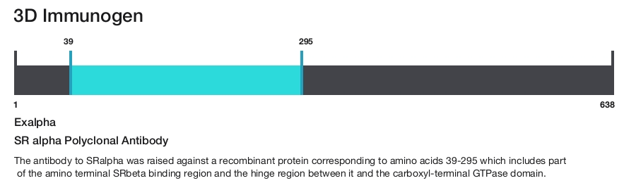 SR alpha Polyclonal Antibody