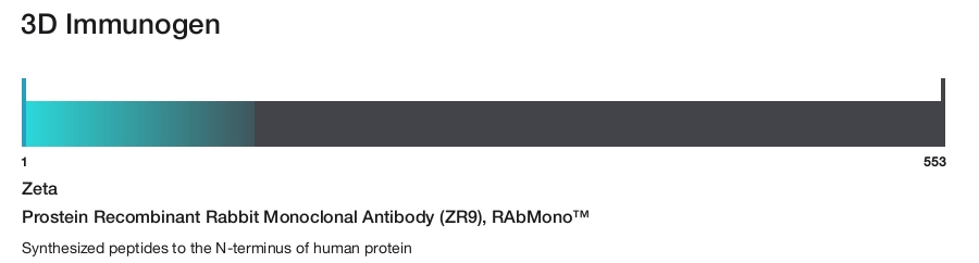 Prostein Recombinant Rabbit Monoclonal Antibody (ZR9), RAbMono&trade;