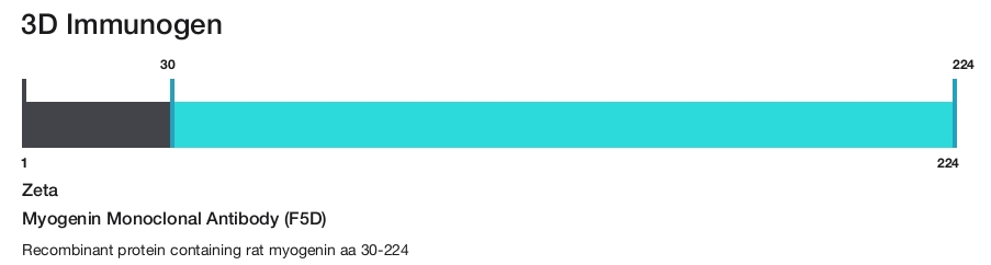 Myogenin Monoclonal Antibody (F5D)