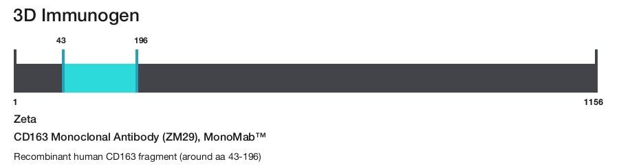 CD163 Monoclonal Antibody (ZM29), MonoMab&trade;