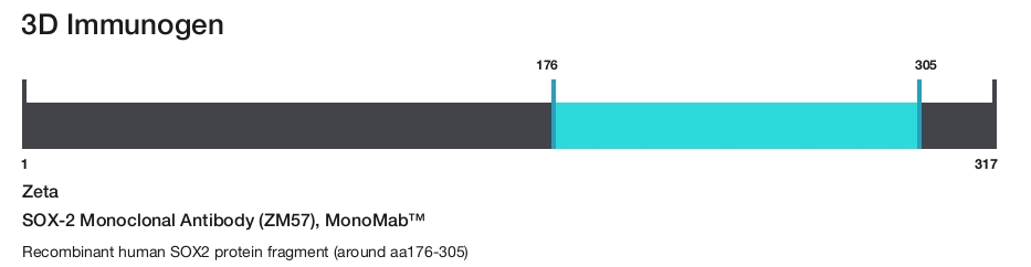SOX-2 Monoclonal Antibody (ZM57), MonoMab&trade;