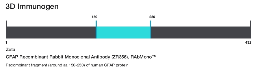 GFAP Recombinant Rabbit Monoclonal Antibody (ZR356), RAbMono&trade;