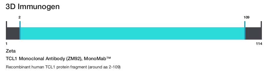 TCL1 Monoclonal Antibody (ZM92), MonoMab&trade;
