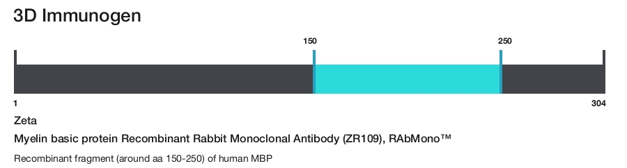 Myelin basic protein Recombinant Rabbit Monoclonal Antibody (ZR109), RAbMono&trade;
