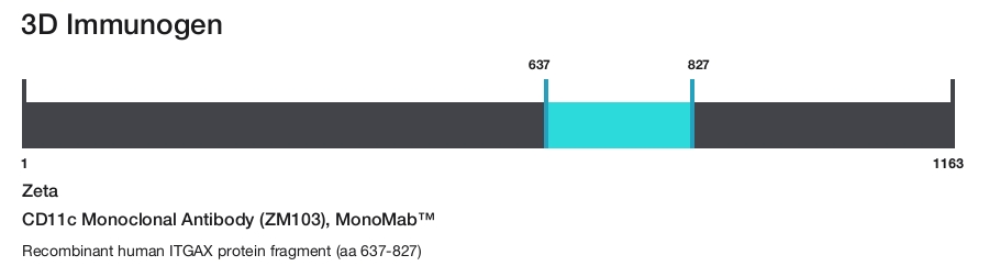 CD11c Monoclonal Antibody (ZM103), MonoMab&trade;