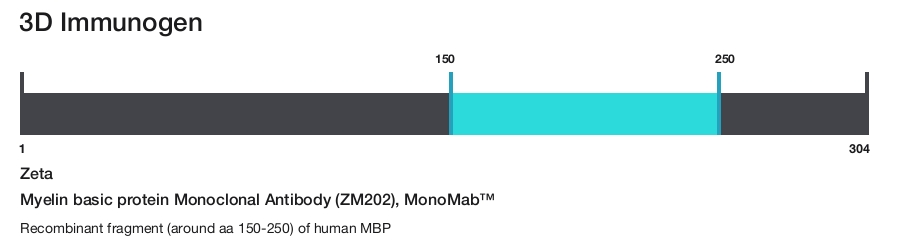 Myelin basic protein Monoclonal Antibody (ZM202), MonoMab&trade;