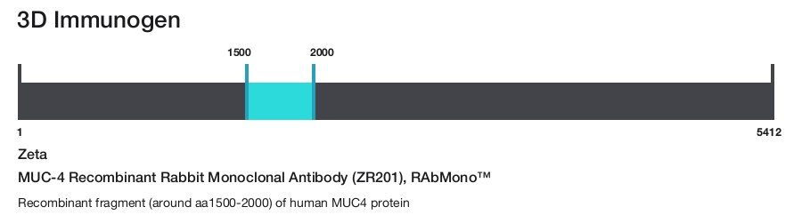 MUC-4 Recombinant Rabbit Monoclonal Antibody (ZR201), RAbMono&trade;