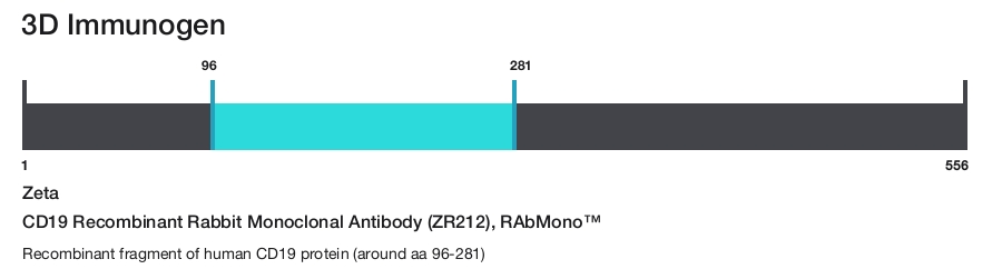 CD19 Recombinant Rabbit Monoclonal Antibody (ZR212), RAbMono&trade;