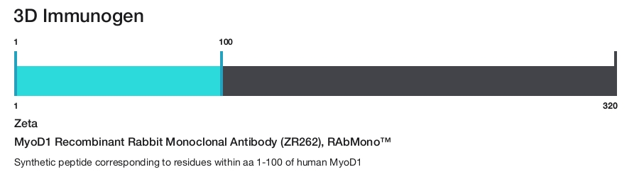MyoD1 Recombinant Rabbit Monoclonal Antibody (ZR262), RAbMono&trade;