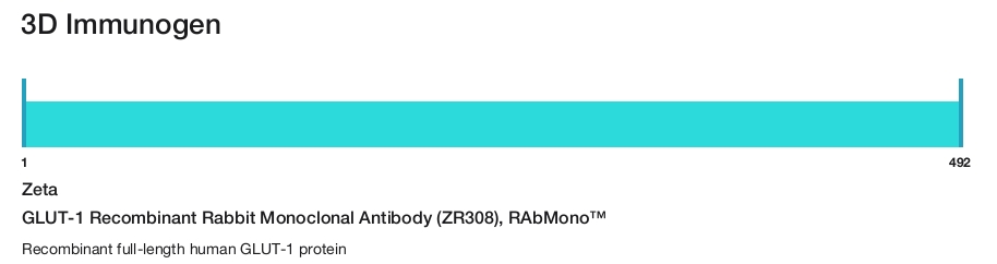 GLUT-1 Recombinant Rabbit Monoclonal Antibody (ZR308), RAbMono&trade;