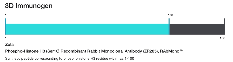 Phospho-Histone H3 (Ser10) Recombinant Rabbit Monoclonal Antibody (ZR285), RAbMono&trade;