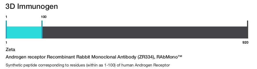 Androgen receptor Recombinant Rabbit Monoclonal Antibody (ZR334), RAbMono&trade;