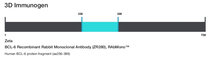 BCL-6 Recombinant Rabbit Monoclonal Antibody (ZR280), RAbMono&trade;