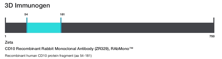 CD10 Recombinant Rabbit Monoclonal Antibody (ZR329), RAbMono&trade;