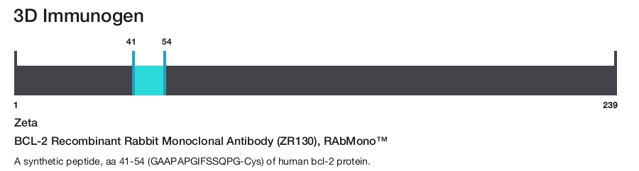 BCL-2 Recombinant Rabbit Monoclonal Antibody (ZR130), RAbMono&trade;