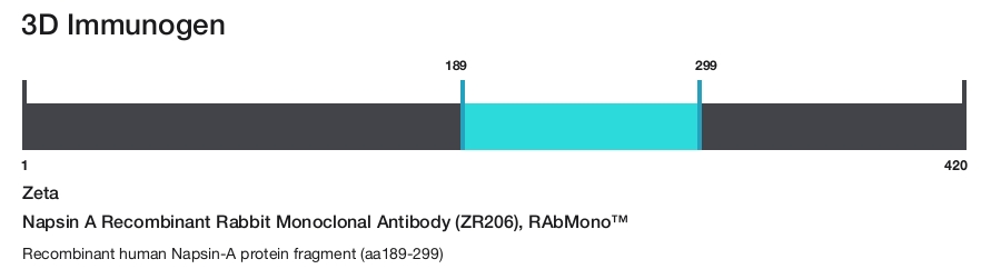 Napsin A Recombinant Rabbit Monoclonal Antibody (ZR206), RAbMono&trade;