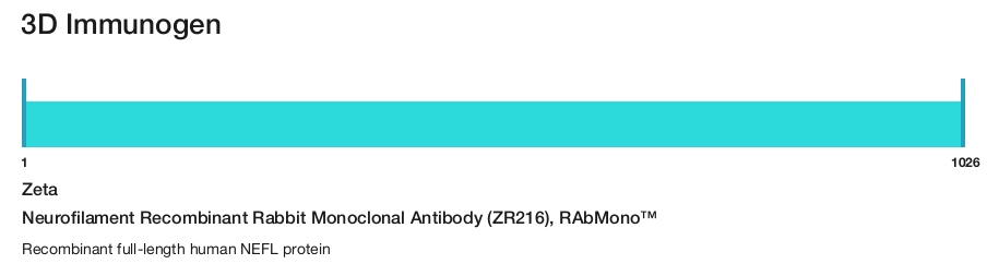 Neurofilament Recombinant Rabbit Monoclonal Antibody (ZR216), RAbMono&trade;