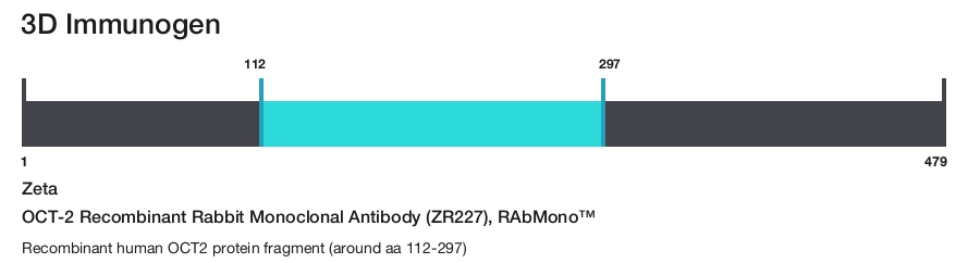 OCT-2 Recombinant Rabbit Monoclonal Antibody (ZR227), RAbMono&trade;