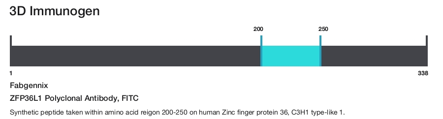 ZFP36L1 Polyclonal Antibody, FITC
