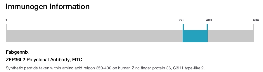 ZFP36L2 Polyclonal Antibody, FITC