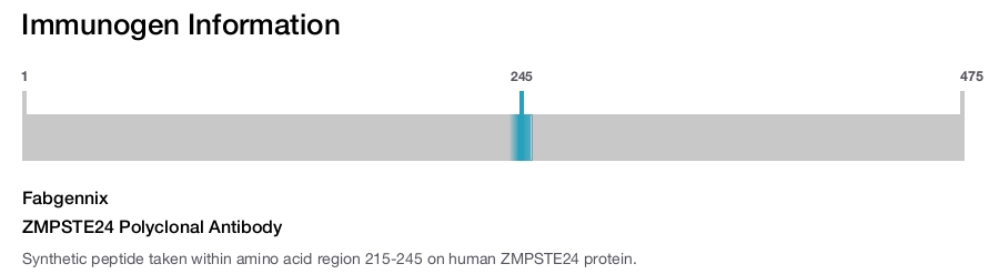 ZMPSTE24 Polyclonal Antibody