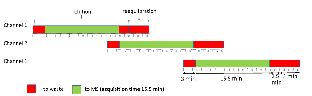 Time segments in dual-channel chromatography