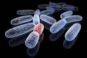 biohacking biohacking