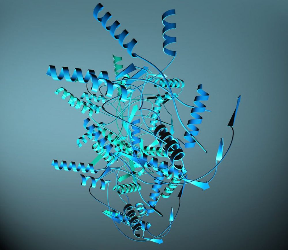 image-1-033121-lower-res