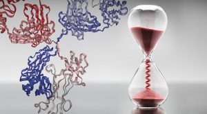 smart_digesthourglass_helix_1200_ia_1118