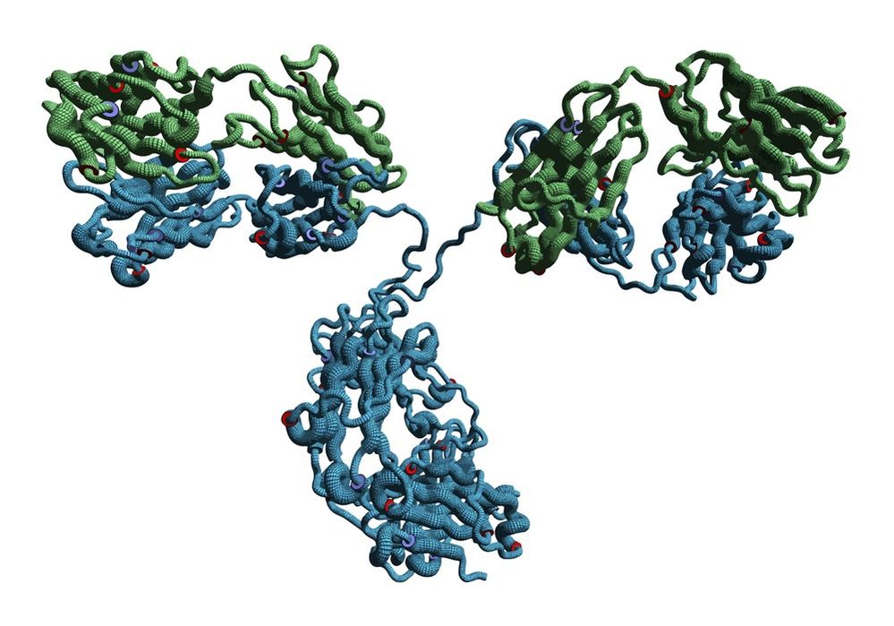 trypsin digestion trypsin digestion