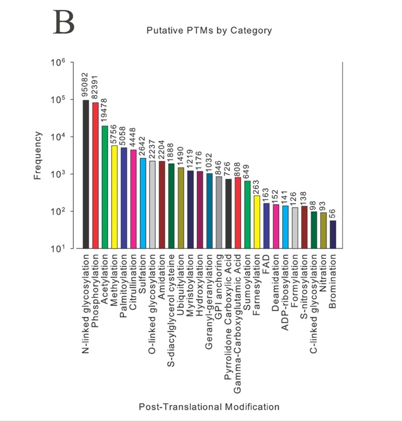 Figure 2: Putative post-translational modifications (PTMs) from the Swiss-Prot database listed in descending order.1