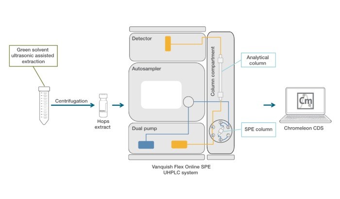 Schematic workflow for the determination of bitter acids in hops