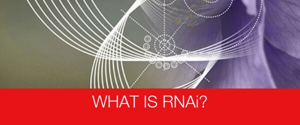 What is RNAi?