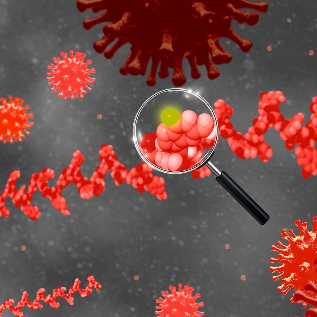 SARS-CoV-2 Mutations, their attributes, and conducting surveillance studies - Ask a Scientist