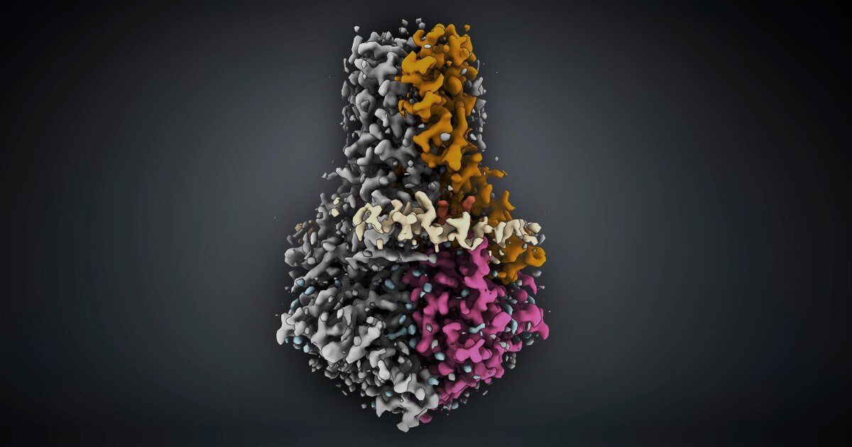 Cryo-EM structure of dimeric 3A from ion channel SARS CoV-2 study