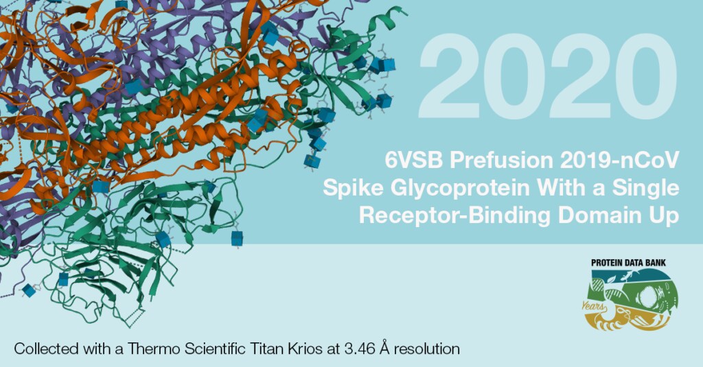 Captured with a Krios Cryo-TEM