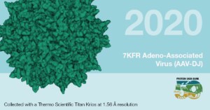 Captured using a Krios Cryo-TEM