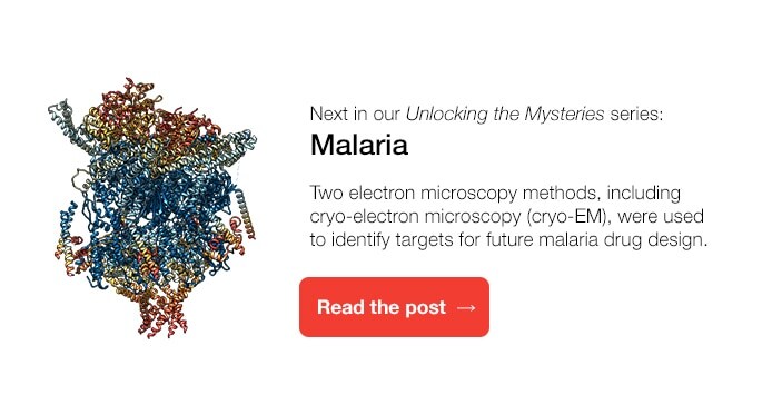 malaria