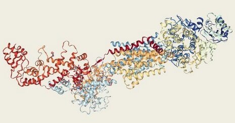 Protein structure determined with single particle analysis.