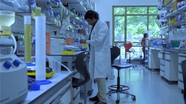 Dr. Vinothkumar working in his lab. Dr. Vinothkumar working in his lab.