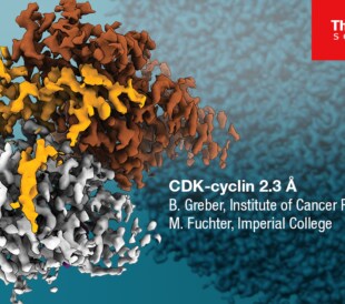 Next gen Glacios Cryo TEM helps solve CDK-cyclin at 2.3 Angstroms